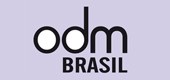 27.11.2012 - Conselhos de Desenvolvimento do RS promovem debate sobre os Objetivos do Milênio