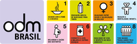 21.02.2013 - Seminário abordará os Objetivos de Desenvolvimento do Milênio