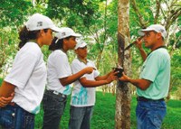 PROGRAMA DE DESENVOLVIMENTO INTEGRADO E SUSTENTÁVEL DO BAIXO SUL DA BAHIA - DIS BAIXO SUL