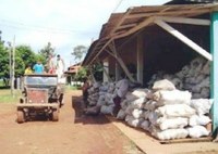 UM NOVO MODO DE VIVER E PRODUZIR NA AMAZÔNIA