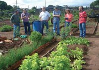 AGRICULTURA URBANA