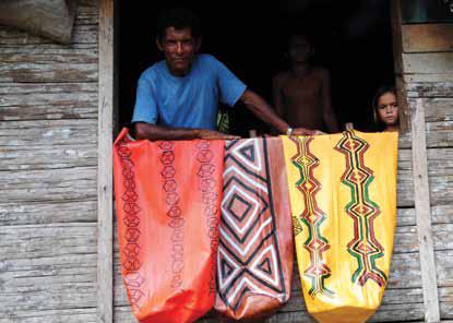 ENCAUCHADOS DE VEGETAIS DA AMAZÔNIA