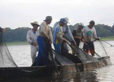 PESCA DE PEIXES EM RIOS E LAGOS (DRS PESCA DE CAPTURA OU EXTRAÇÃO)