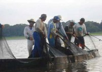 PESCA DE PEIXES EM RIOS E LAGOS (DRS PESCA DE CAPTURA OU EXTRAÇÃO)