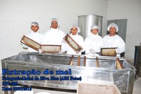 Atividade Apícola  Associativa do Alto Turi