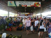 Organização Social: uma  Estratégia de Cooperação, Renda e  Cidadania
