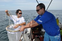 Programa de Recuperação da  Biodiversidade Marinha (Rebimar)
