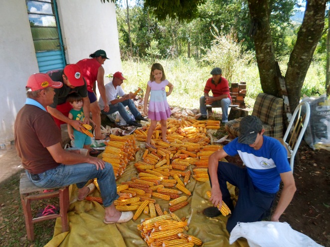 Cooperativa Oestebio / São Miguel do Oeste (SC)